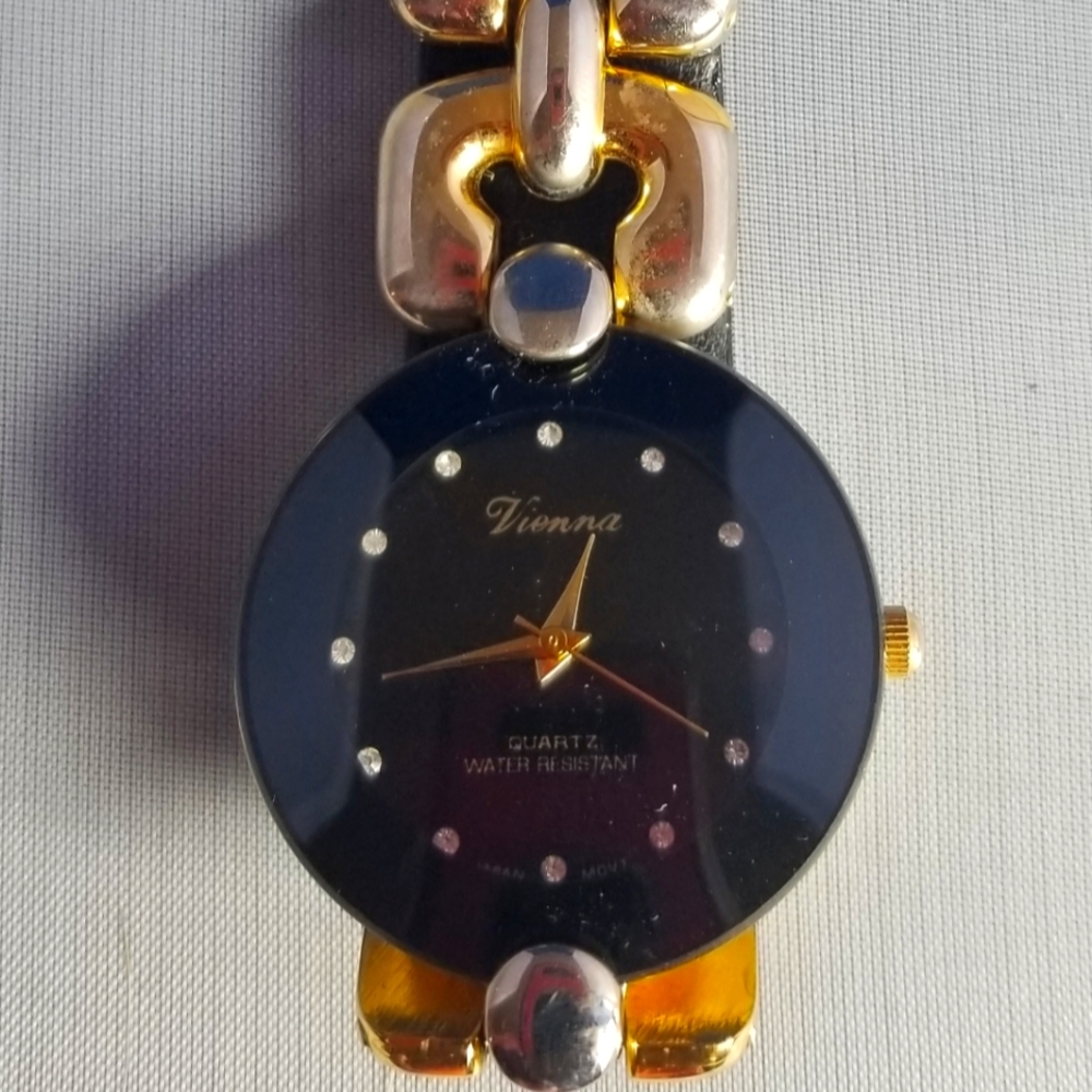 Vienna watch